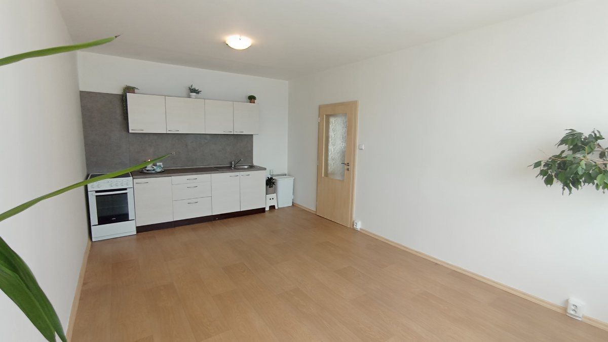 Pronájem bytu 2+kk, Papírenská, České Budějovice, 12500 Kč / měsíc, 38 m2