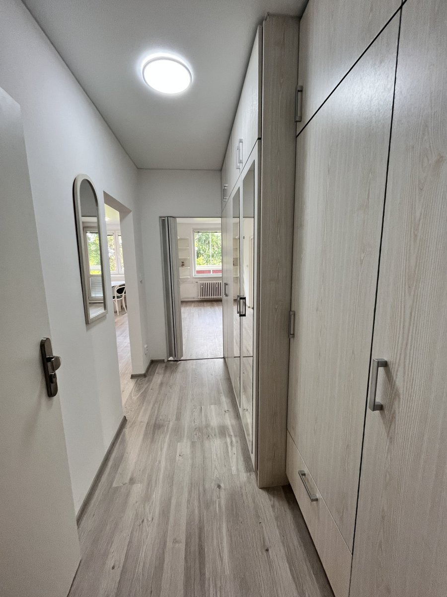 Pronájem bytu 3+1, Pionýrská, Nová Ulice, 18 500Kč/měs, 63 m2