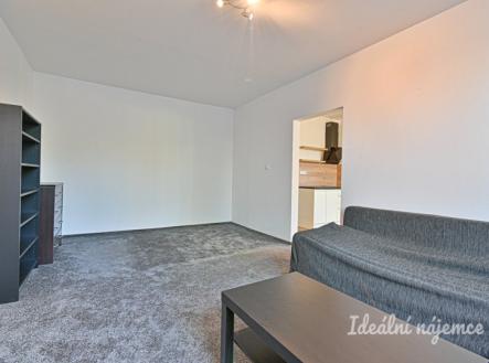 Pronájem bytu, 1+1, 44 m²