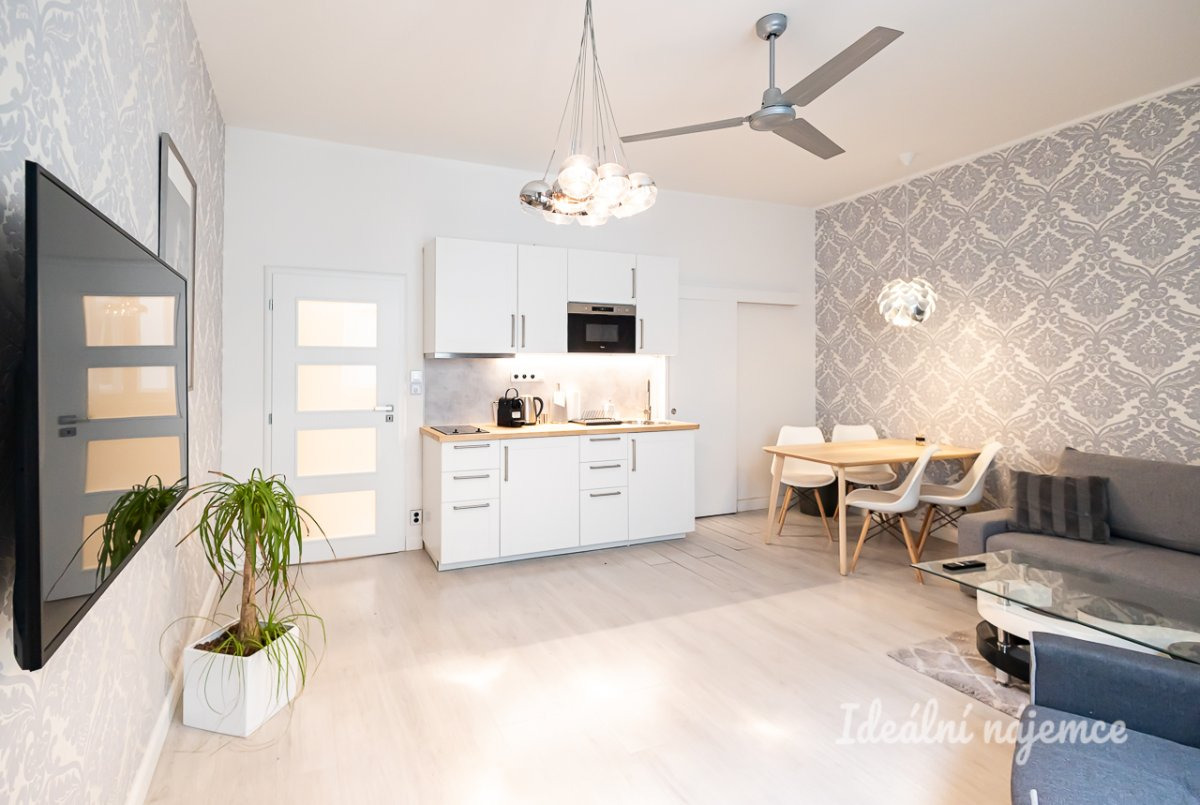 Pronájem bytu 2kk, Opletalova, Nové Město, 42 m2