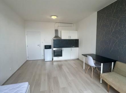 Pronájem bytu, 1+kk, 28 m²