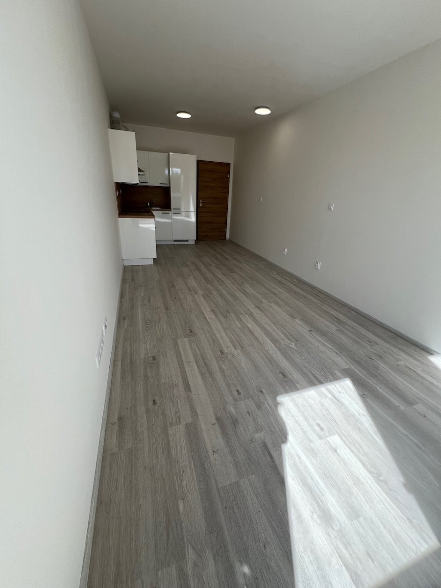 Pronájem bytu 1+kk, Goldscheiderova, Plzeň,  13000,- Kč/měs, 29 m2