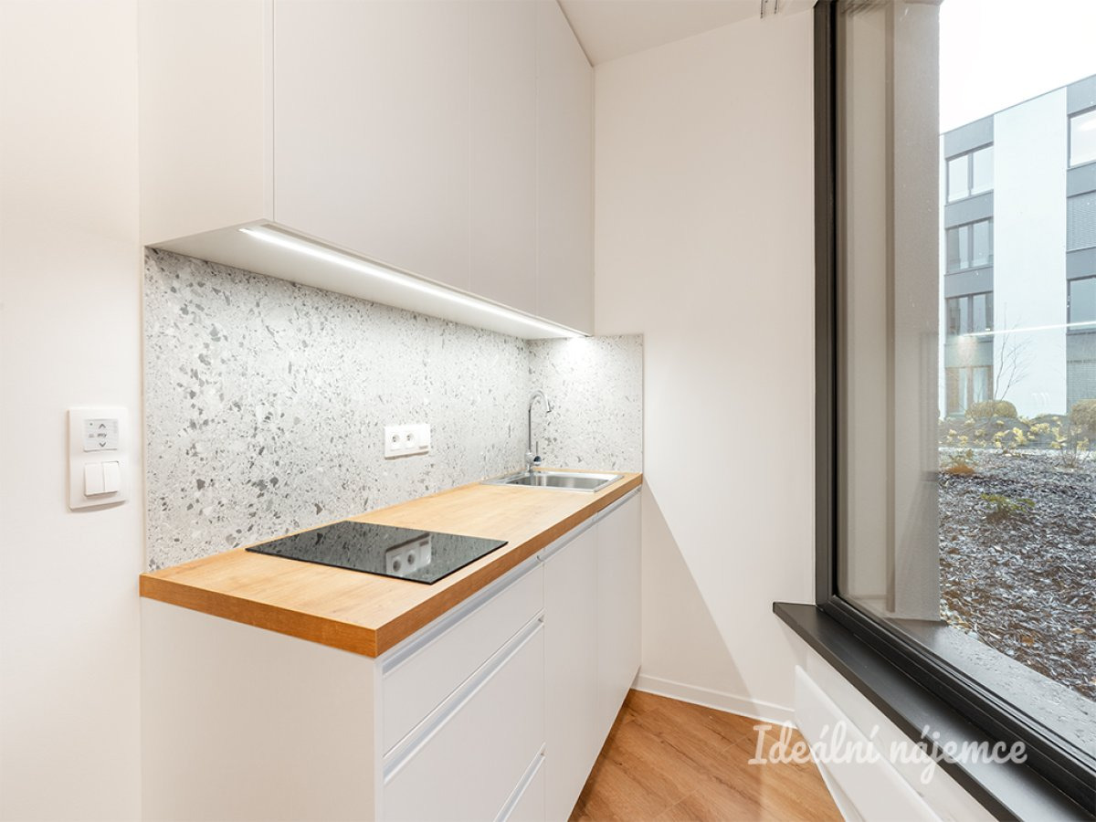 Pronájem ateliéru 1+kk, Na Větrníku, Břevnov, 1750 33m20Kč/měs,