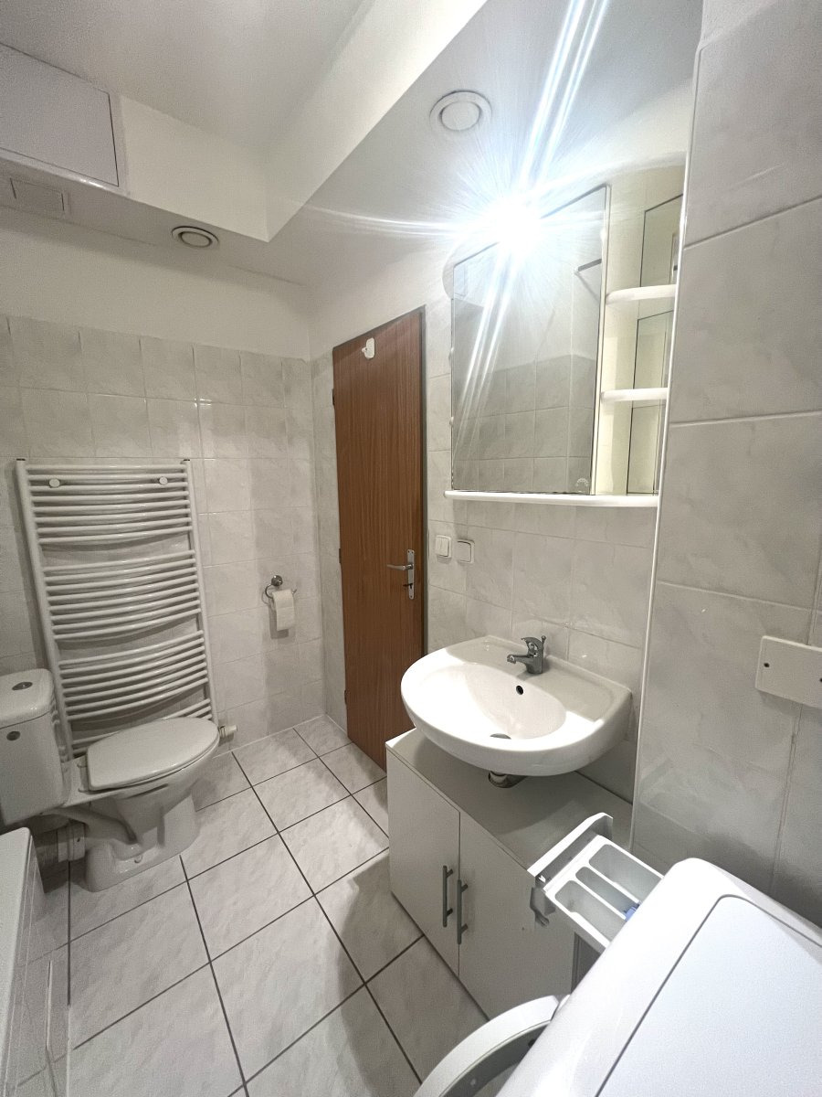 Pronájem bytu 1+kk, Sedlecká, Plzeň, 32 m2