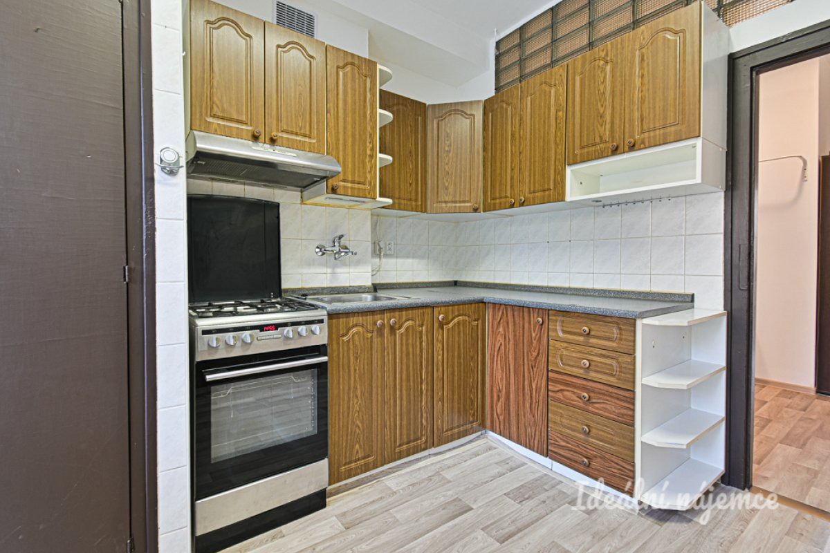 Pronájem bytu 2+1, Botanická, Ponava,  18.500 Kč/měs, 54 m2