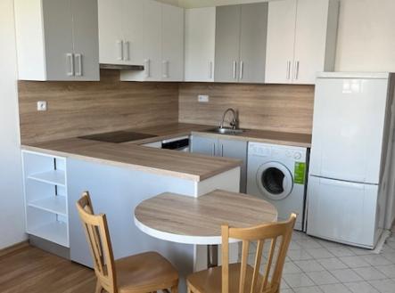 Pronájem bytu, 1+1, 46 m² obrázek
