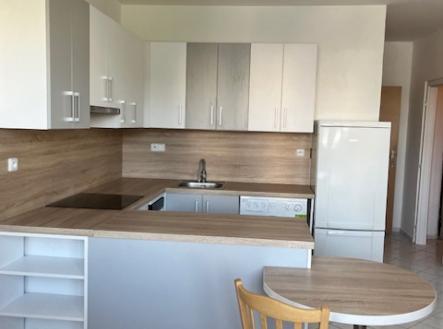 Pronájem bytu, 1+1, 46 m²