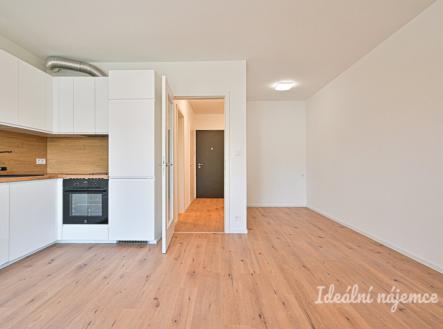 Pronájem bytu, 1+kk, 37 m²