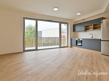 Pronájem bytu, 2+kk, 55 m²