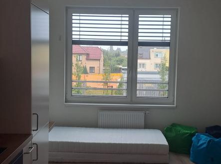 Pronájem bytu, 1+kk, 24 m²