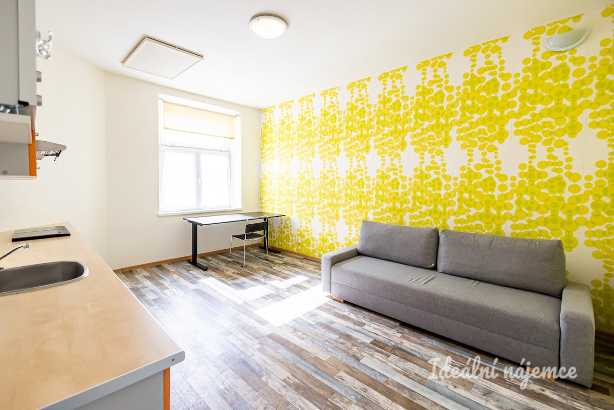 Pronájem bytu 1+kk, Orelská, Vršovice, 27 m2, 14 400 Kč / měsíc