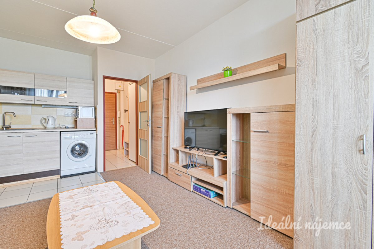 Pronájem bytu 1+kk, Opálkova, Bystrc, 13 500 Kč/měs, 24 m2