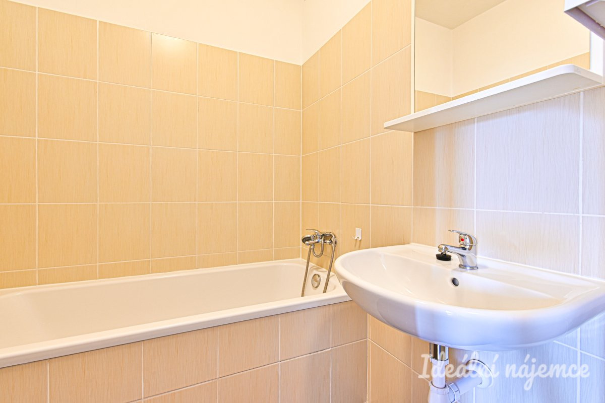 Pronájem bytu 2+1, Výstavní, Staré Brno, 19 900 Kč/měs, 59 m2