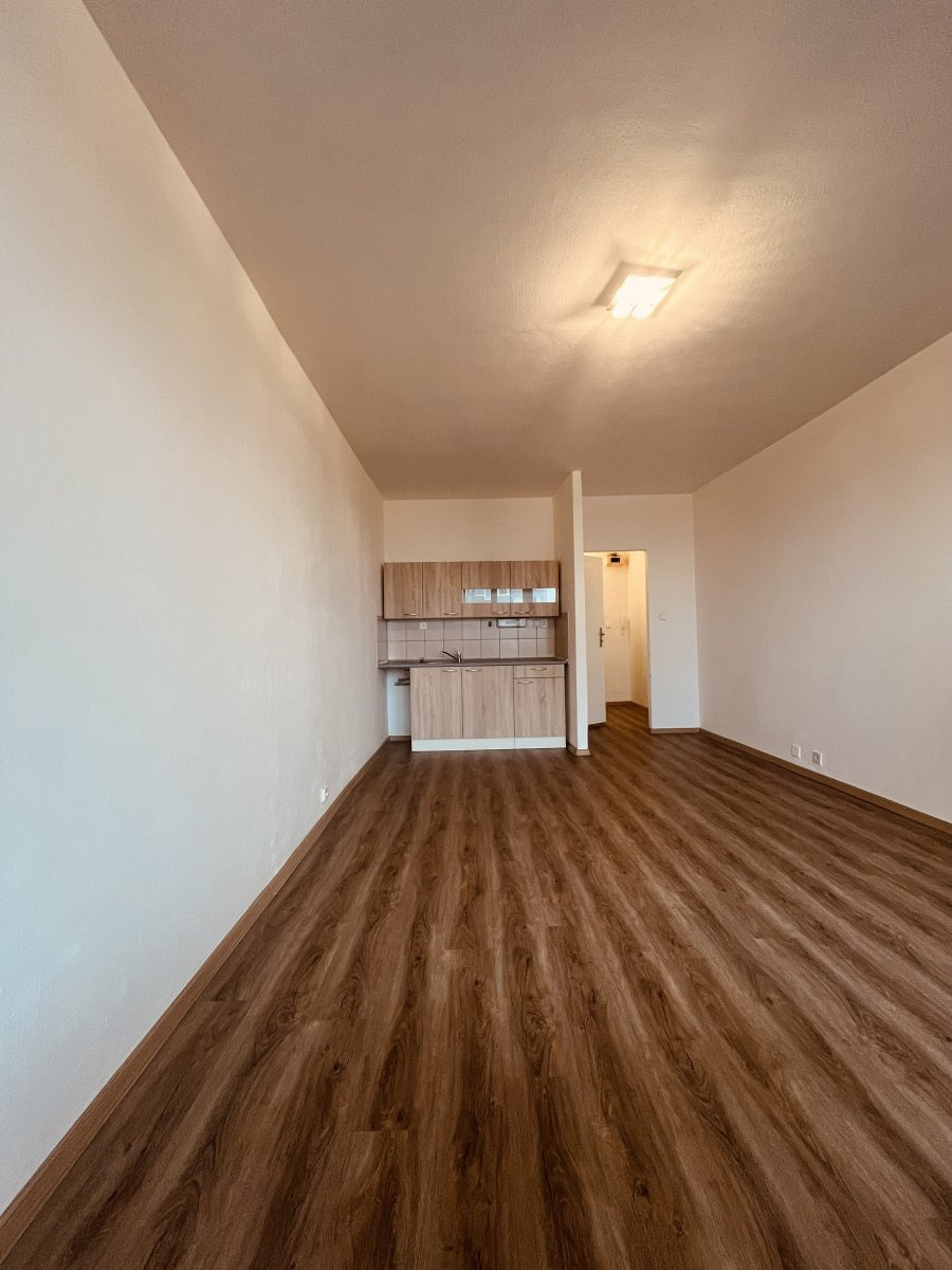 Pronájem bytu 1+kk, Francouzská, Poruba, 7900 Kč/měs, 26 m2