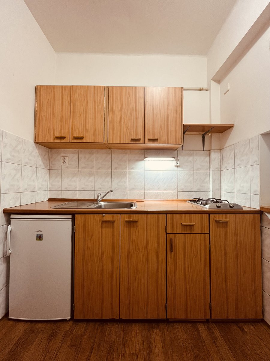 Pronájem bytu 1+1, Ženíškova, Moravská Ostrava, 8200 Kč/měs, 24 m2