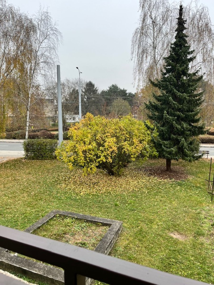 Pronájem bytu 3+1, Jiřího Potůčka, Trnová,  17.000 Kč/měs, 72 m2