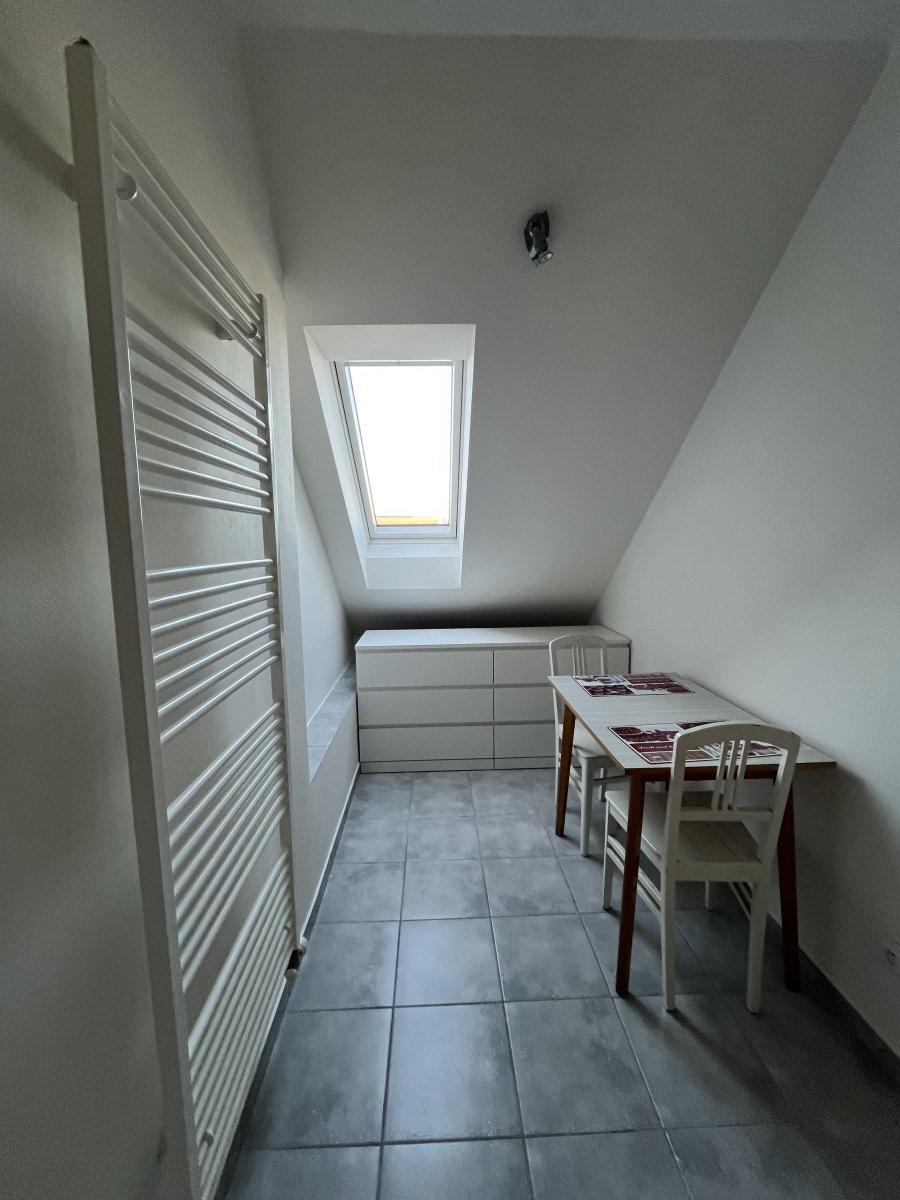 Pronájem bytu 1+kk, Erenburgova, Hejčín, 10900 Kč/měs, 34 m2