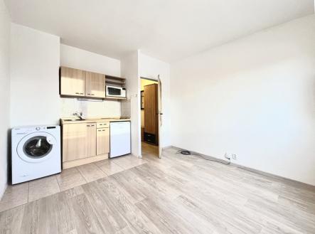 Pronájem bytu, 1+kk, 20 m² obrázek