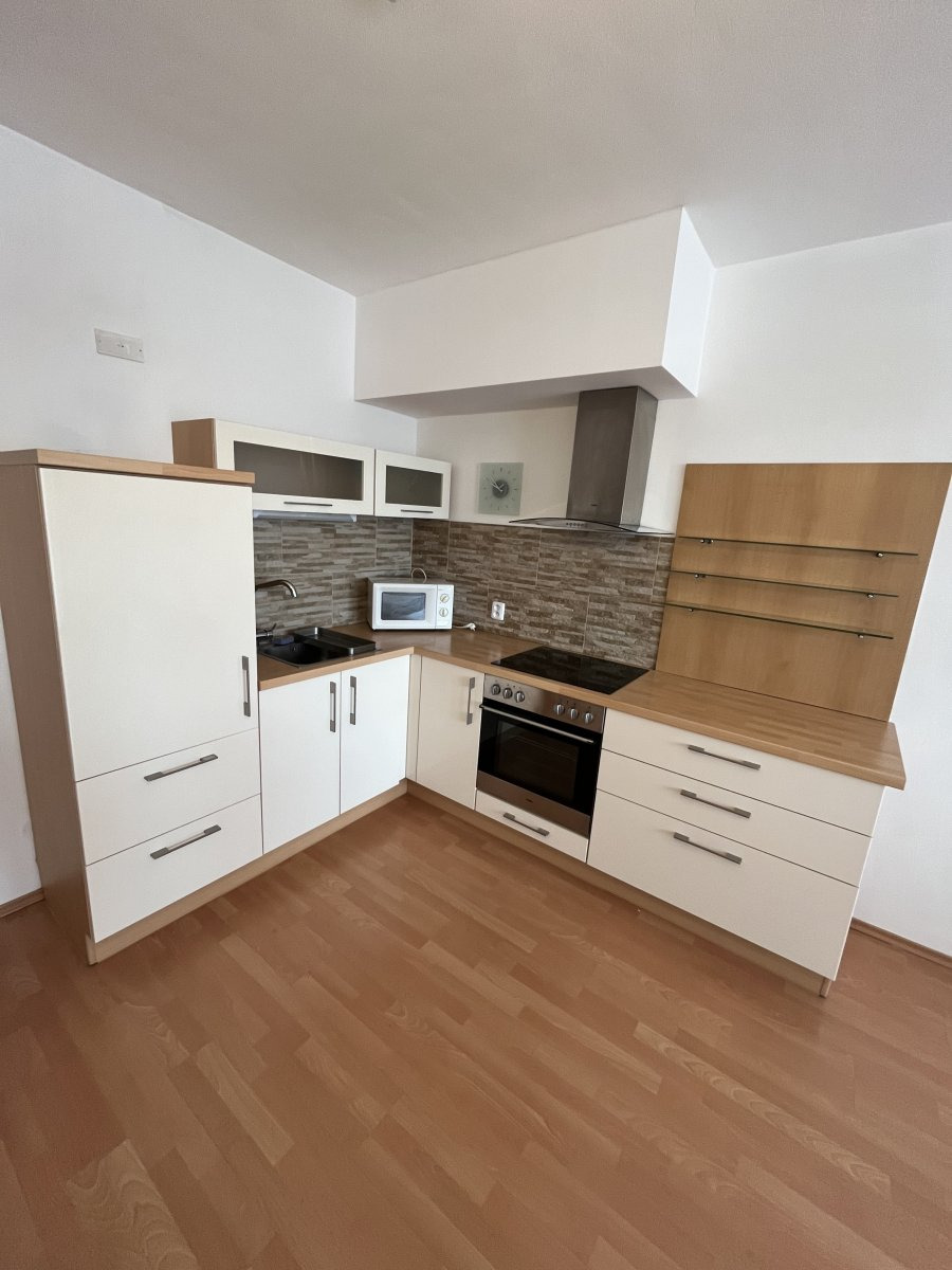 Pronájem bytu 1+kk, Družební, Nové Sady u Olomouce, 12500 Kč/měs, 38 m2