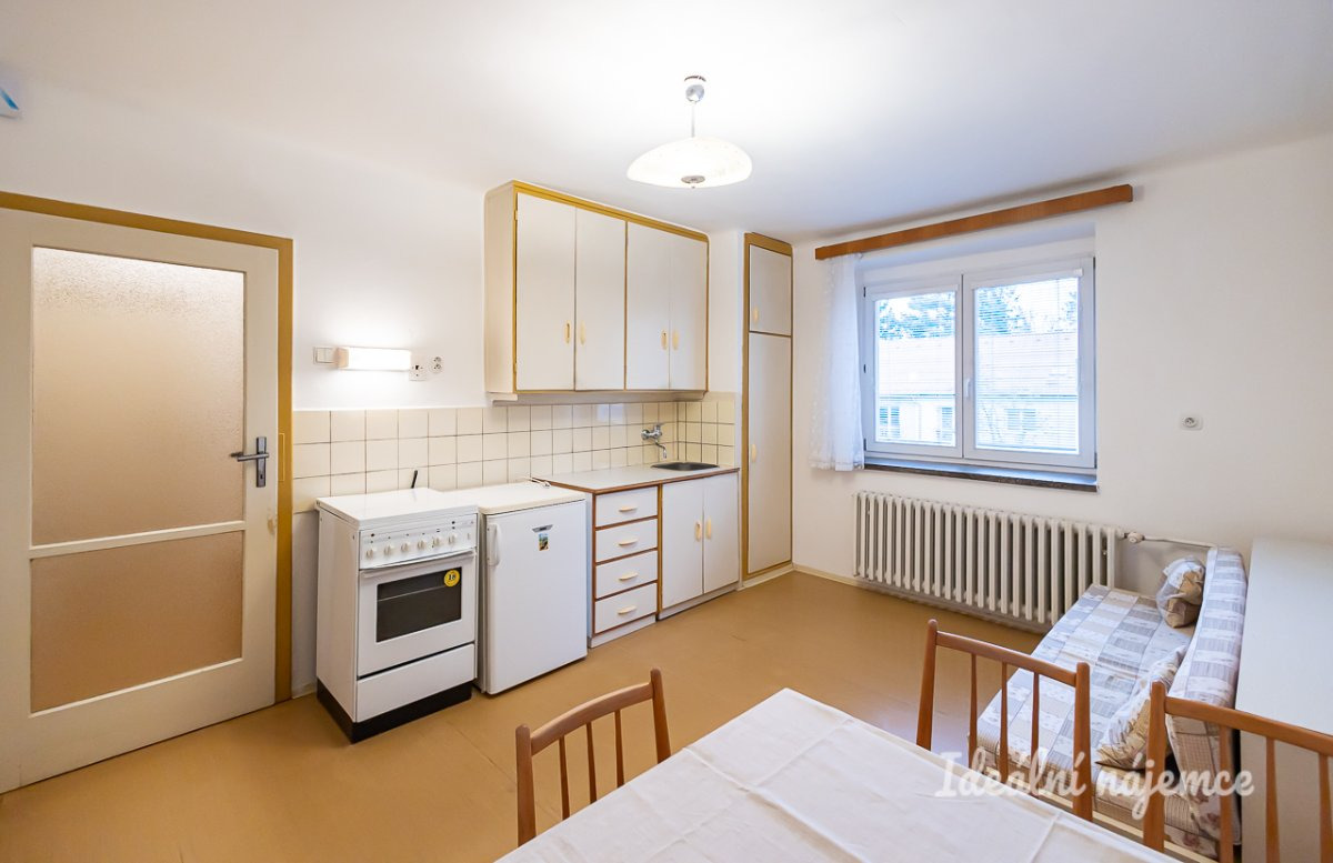 Pronájem bytu 2+1, Krupná, Komořany,   55 m2