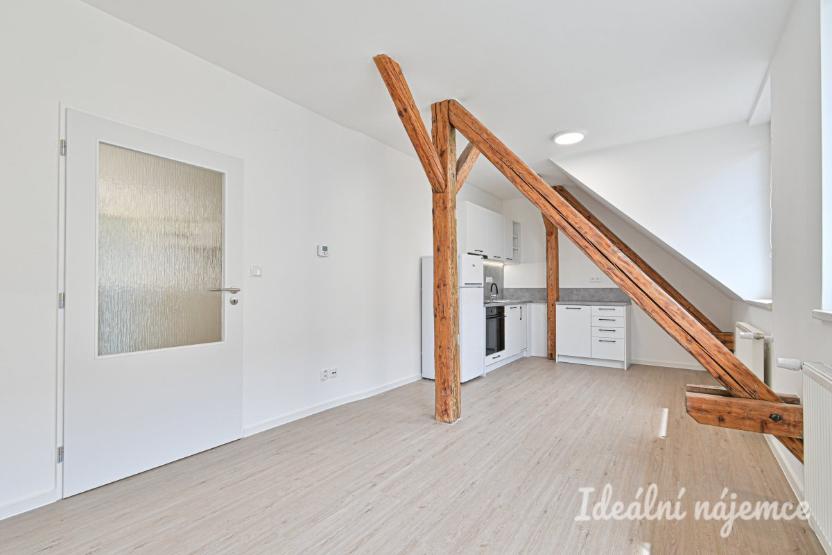 Pronájem bytu 1+1, Slovinská, Královo Pole, 18 000 Kč/měs, 45 m2