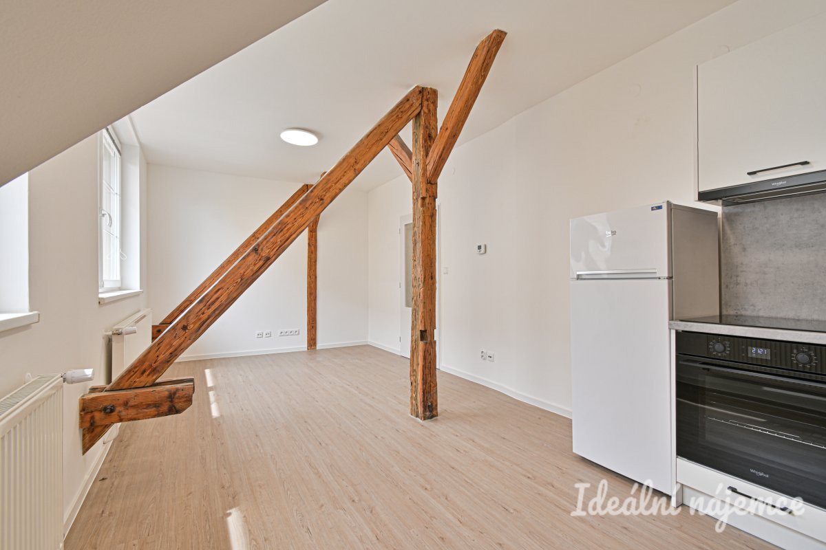 Pronájem bytu 1+1, Slovinská, Královo Pole, 18 000 Kč/měs, 45 m2