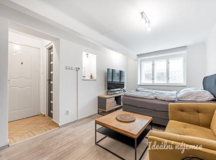 Pronájem bytu, 1+kk, 24 m²