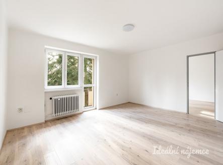 Pronájem bytu, 3+1, 67 m²