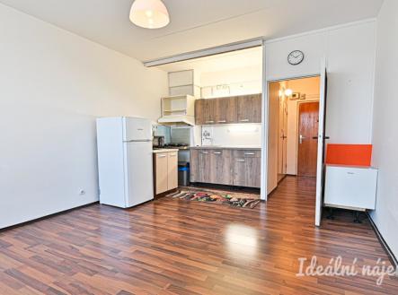 Pronájem bytu, 1+kk, 28 m²