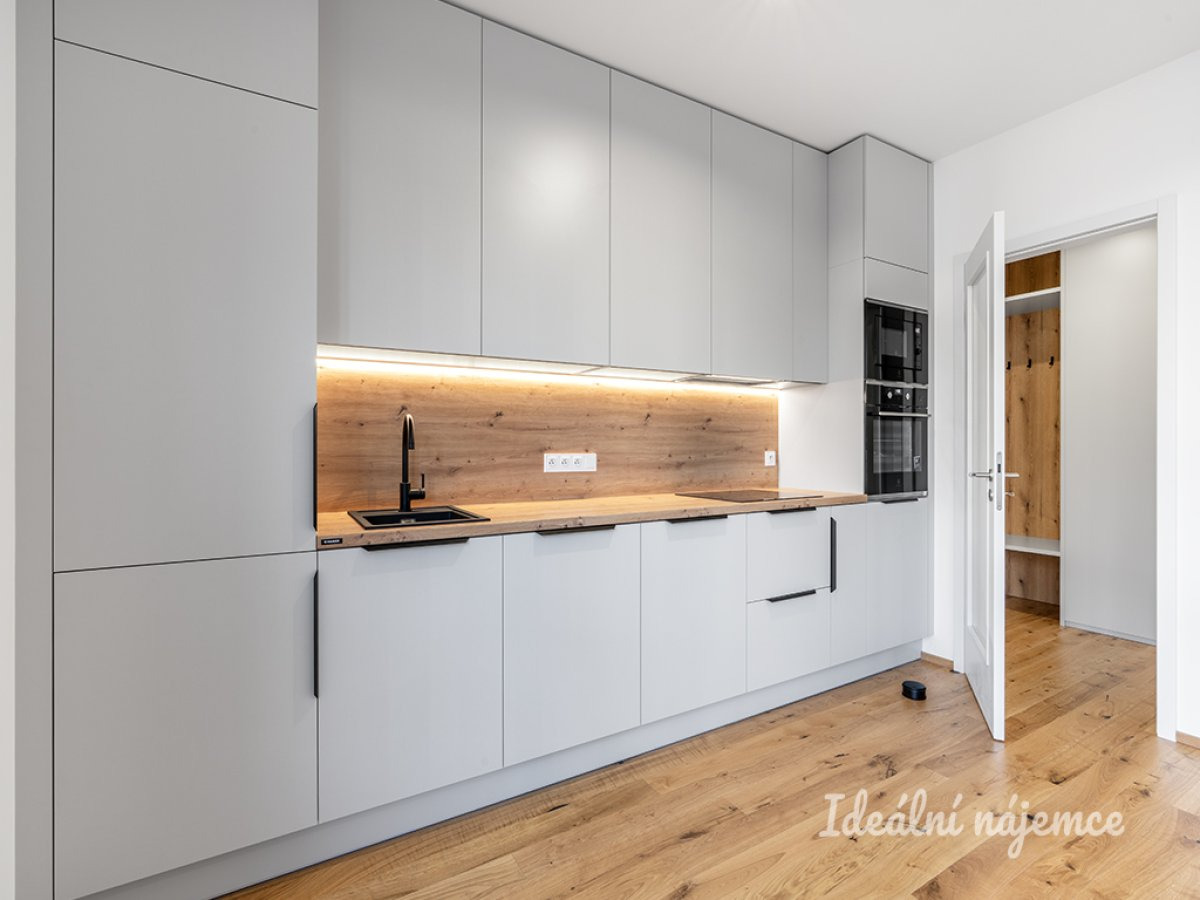 Pronájem bytu 1+kk, Závišova, Nusle, 21900 Kč/měs, 33 m2