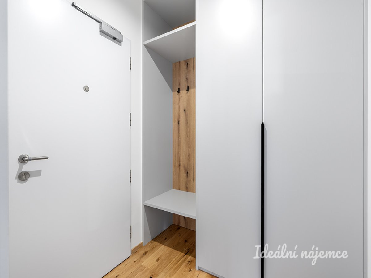 Pronájem bytu 1+kk, Závišova, Nusle, 21900 Kč/měs, 33 m2