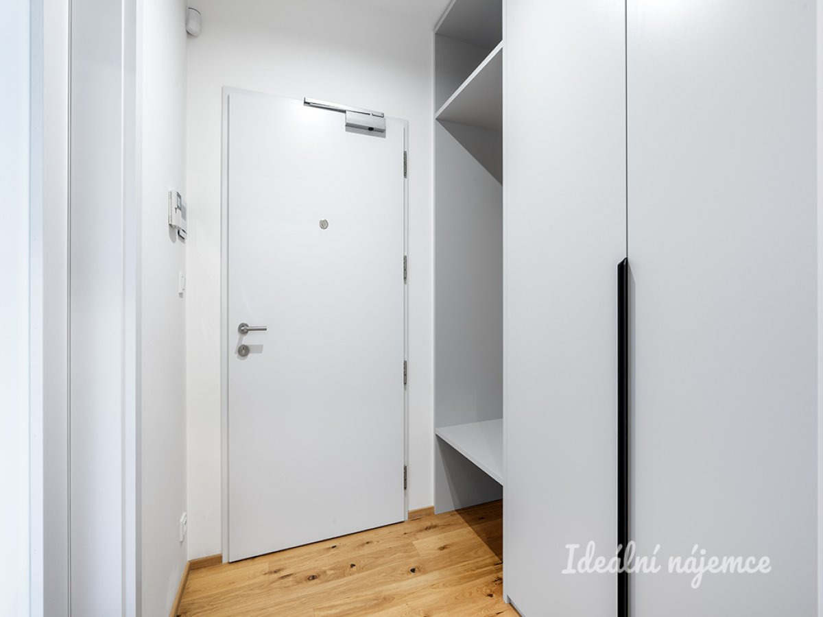 Pronájem bytu 1+kk, Závišova, Nusle, 21900 Kč/měs, 33 m2