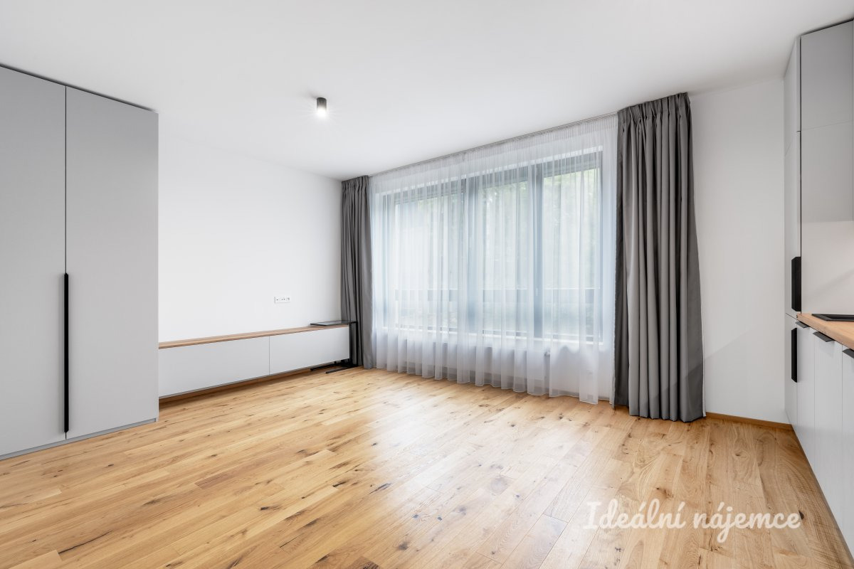 Pronájem bytu 1+kk, Závišova, Nusle, 21000 Kč/měs, 33 m2