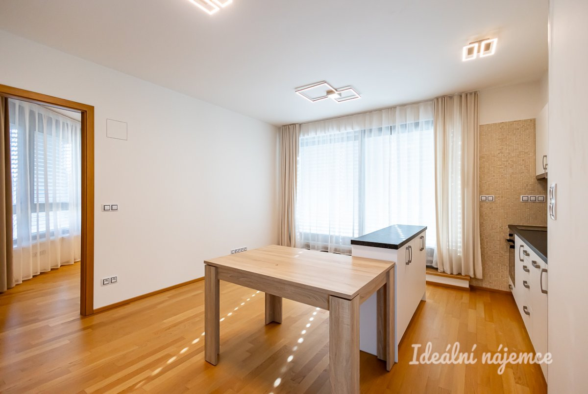Pronájem bytu 2+kk, Kunešova, Žižkov, 30000 Kč/měs, 49 m2