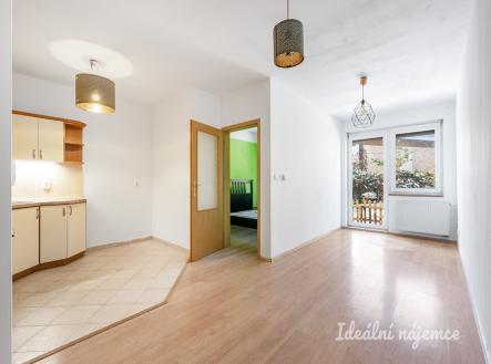 Pronájem bytu, 2+kk, 49 m²
