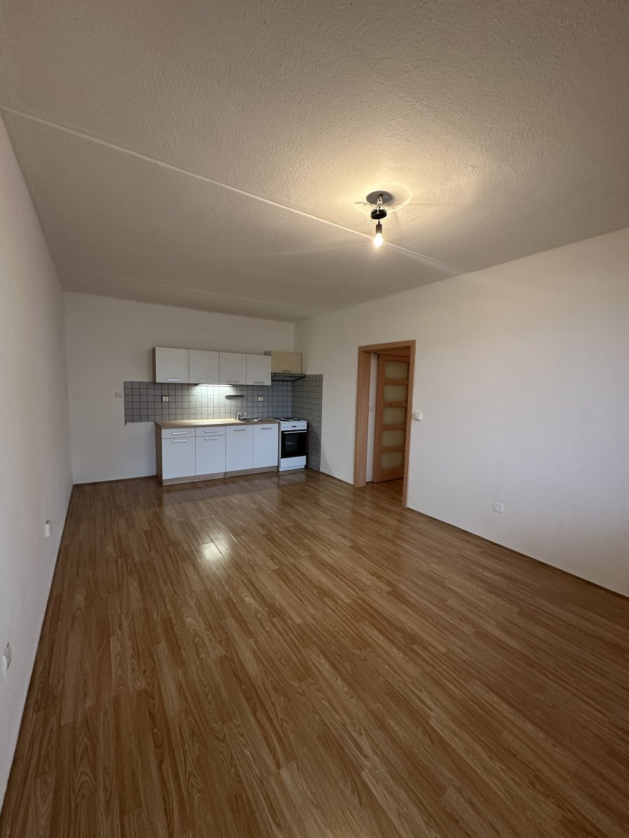 Pronájem bytu 2+kk, Dlouhá, České Budějovice 2, 13300 Kč/měs, 42 m2