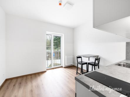 Pronájem bytu, 1+kk, 22 m²
