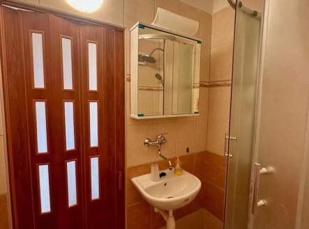 Pronájem bytu, 1+kk, 20 m²