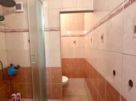 Pronájem bytu, 1+kk, 20 m²
