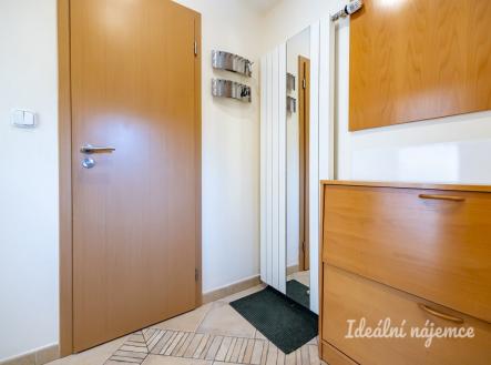 Pronájem bytu, 5+kk, 150 m²
