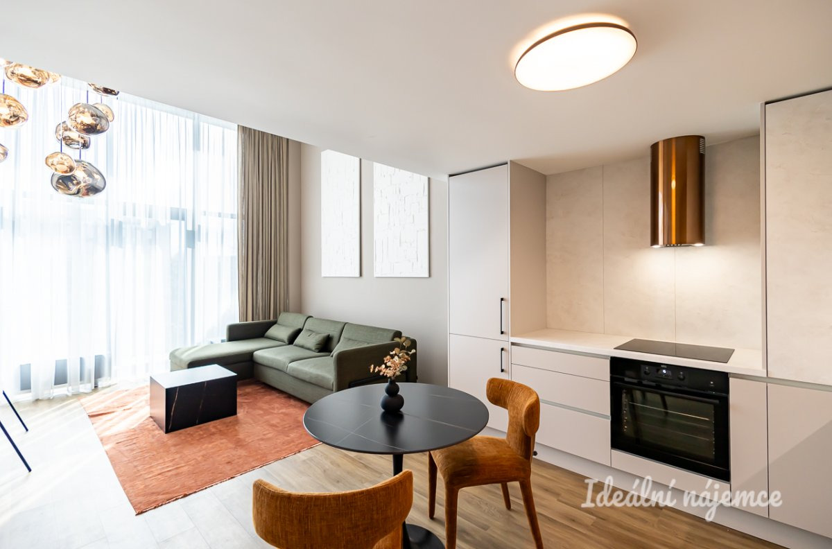 Pronájem bytu 1+kk, V háji, Holešovice, 31900 Kč/měs, 43 m2