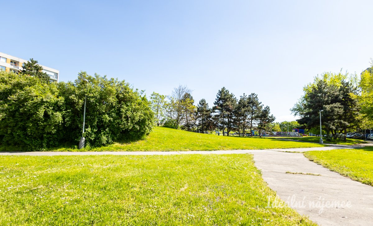 Pronájem bytu 2+kk, Bachova, Chodov, 40 m2