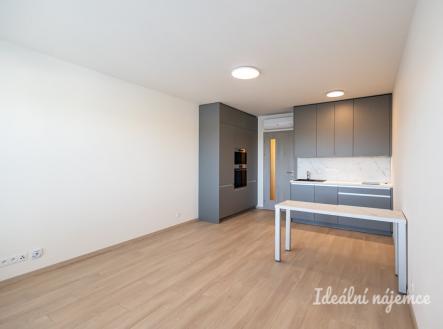 Pronájem bytu, 1+kk, 32 m²
