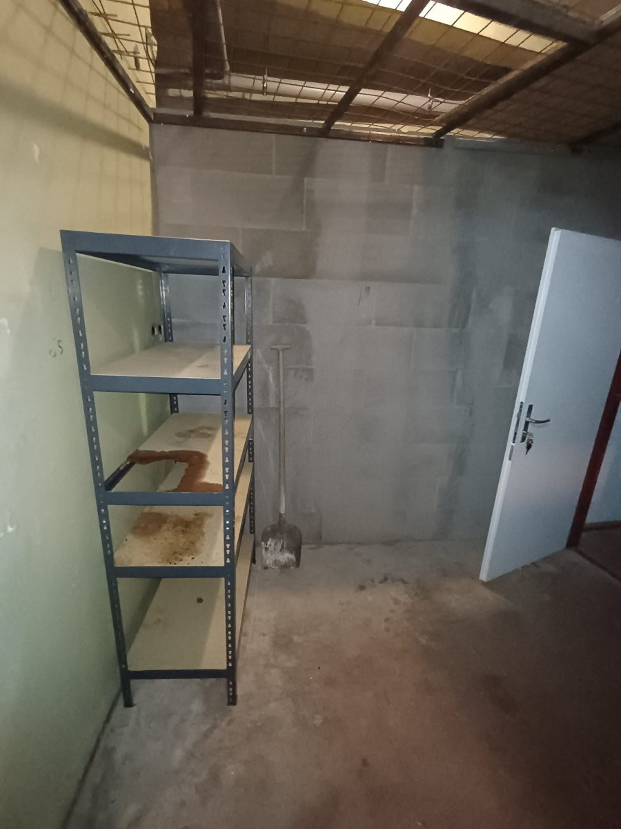 Pronájem bytu 2+kk, Štítného, Nová Ulice, 15000 Kč/měs, 64 m2