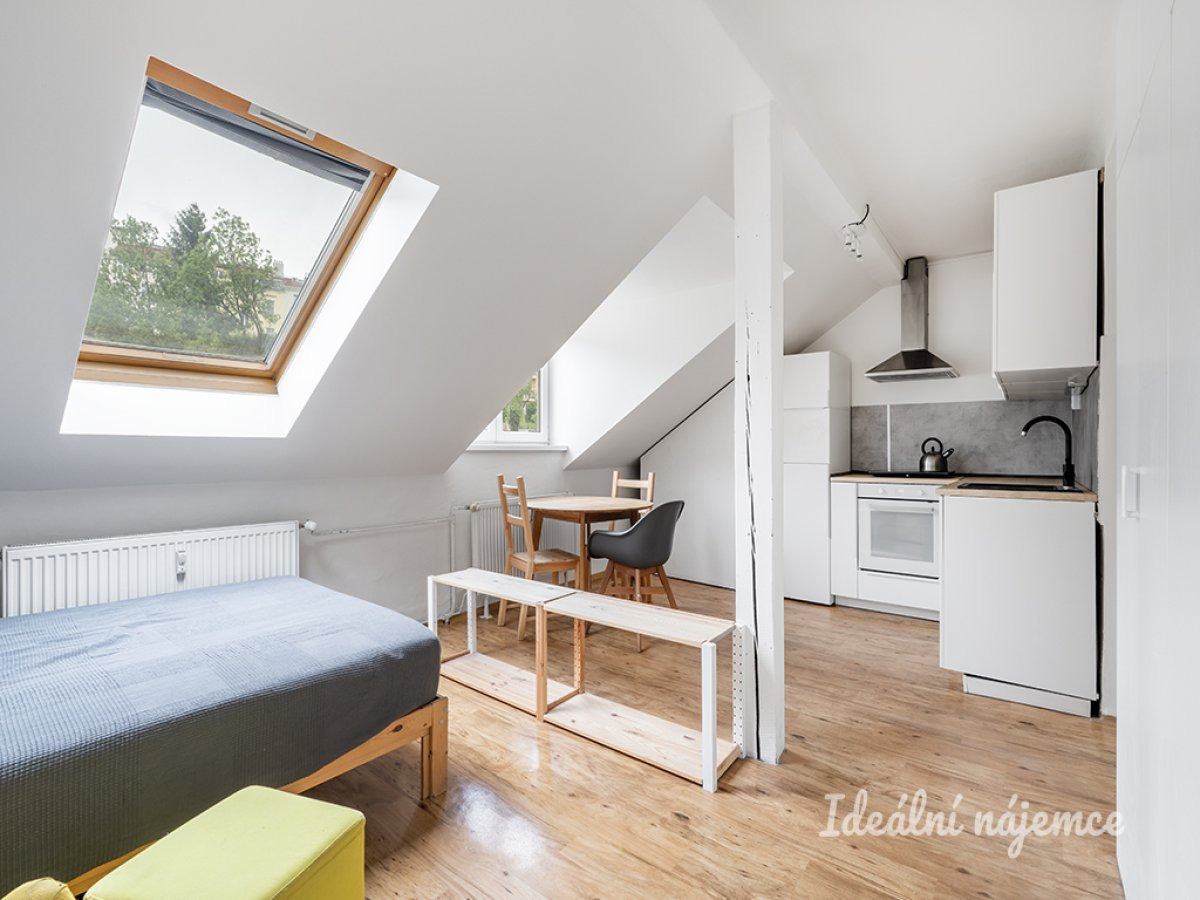 Pronájem bytu 1+kk, Holečkova, Smíchov, 16900 Kč/měs, 35 m2
