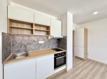 Pronájem bytu, 1+1, 41 m² obrázek