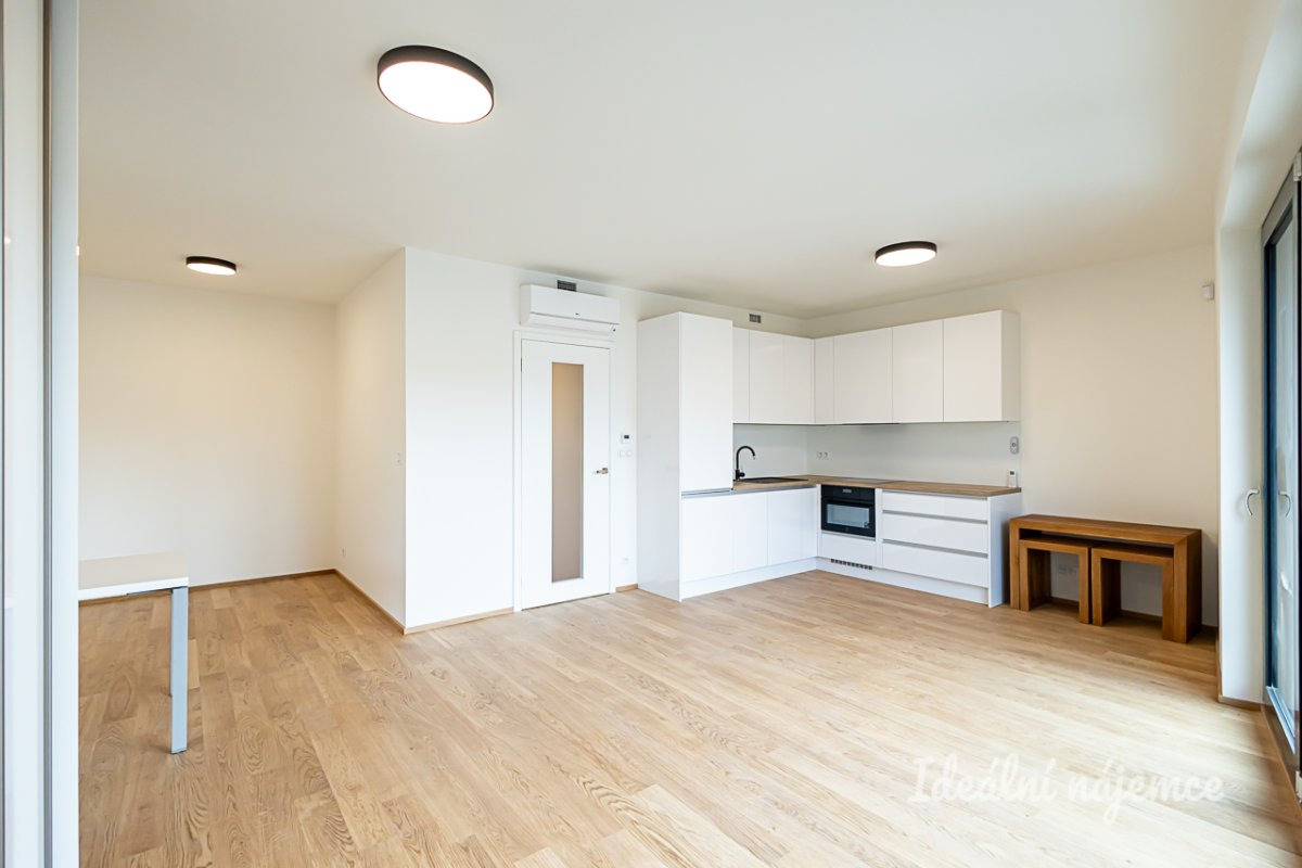 Pronájem bytu 1+kk, Basilejské náměstí, Žižkov,  22.000Kč/měs, 42 m2
