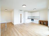 Pronájem bytu, 1+kk, 42 m²