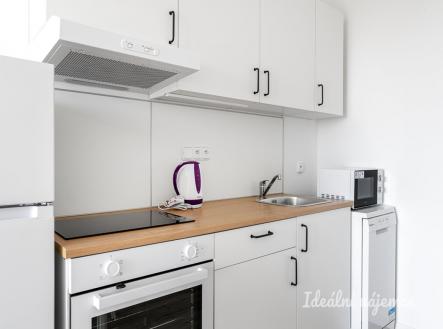 Pronájem bytu, 1+kk, 24 m²