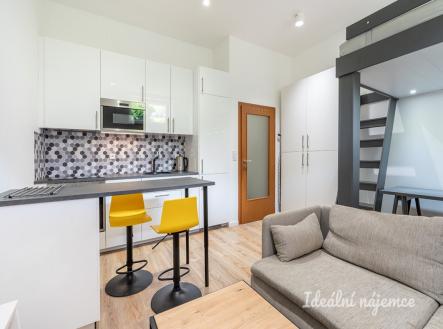 Pronájem bytu, 1+kk, 27 m² obrázek
